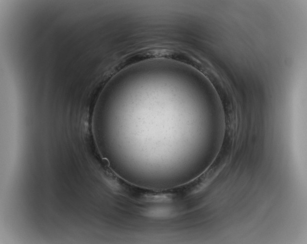 X0000116370553200912021155