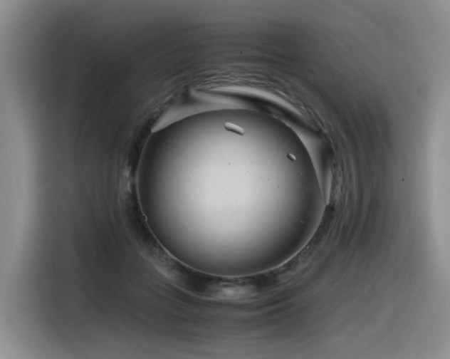 X0000116370555200912021155