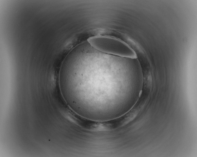 X0000116370558200912021155