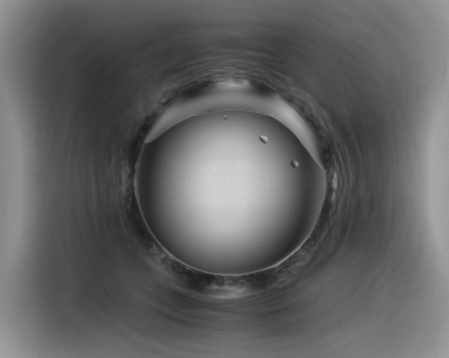 X0000116370559200912021155