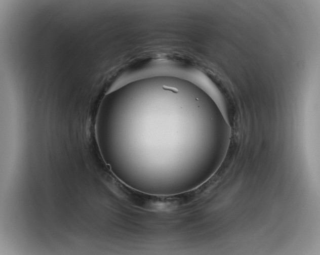 X0000116370563200912021156