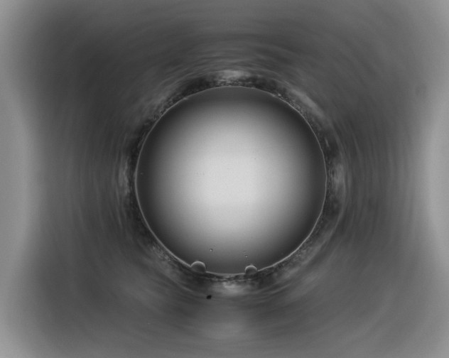 X0000116370565200912021156
