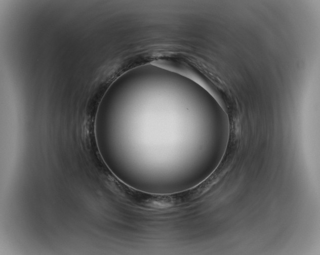 X0000116370567200912021156