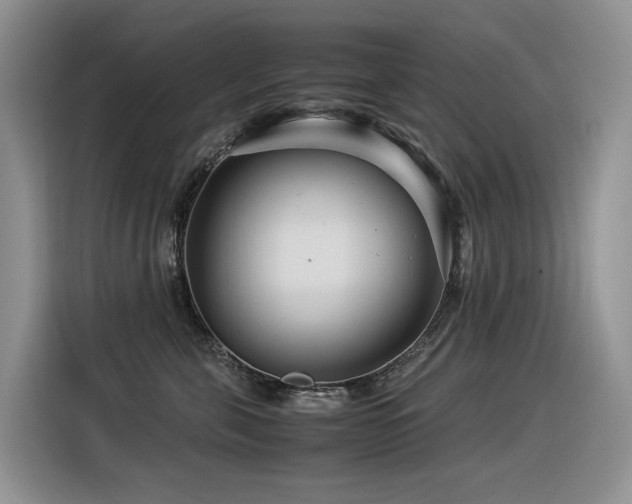 X0000116370571200912021156