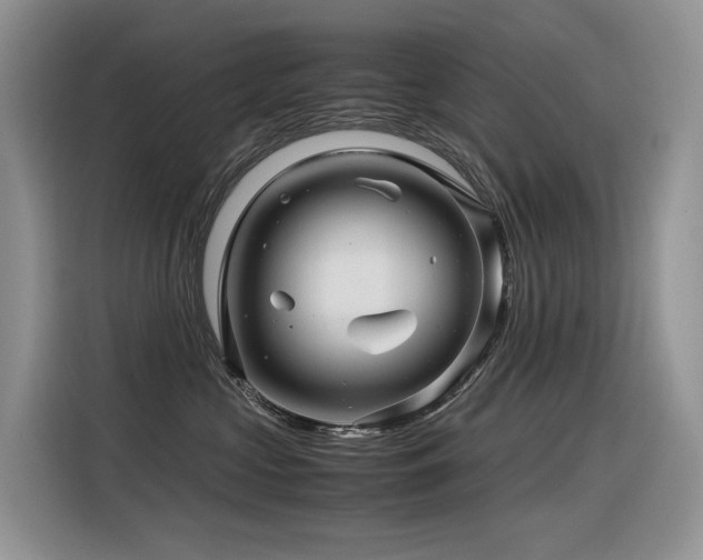 X0000116370573200912021156