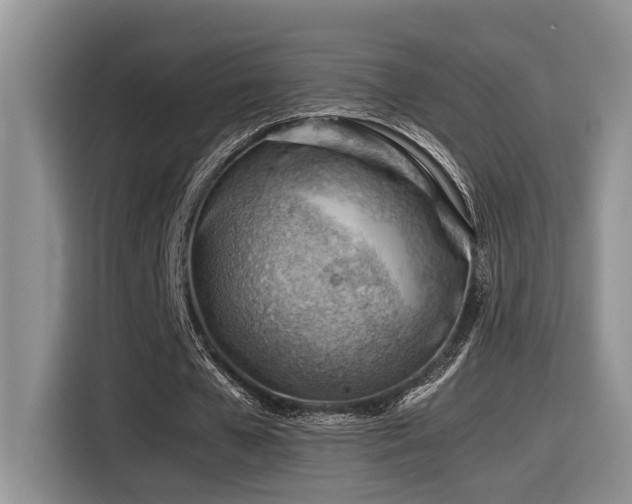 X0000116370577200912021155