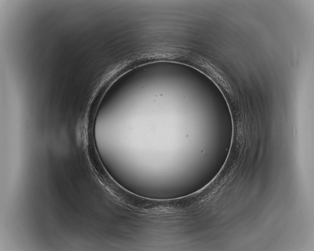 X0000116370578200912021155