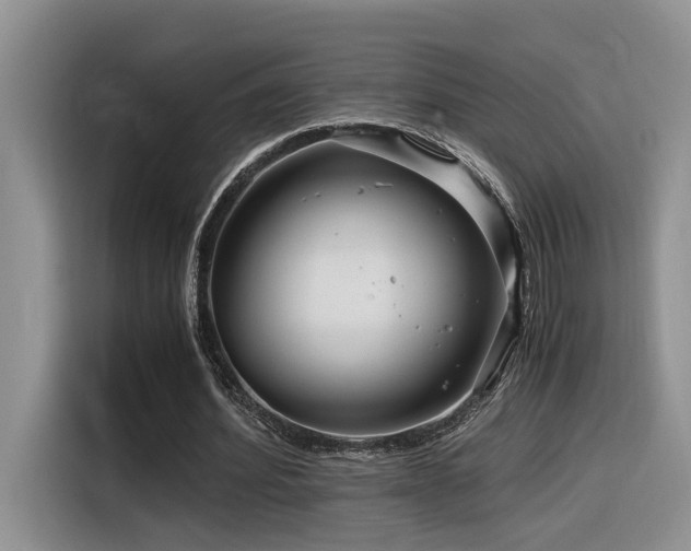X0000116370580200912021155