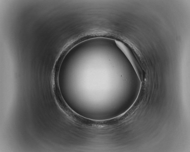 X0000116370582200912021155