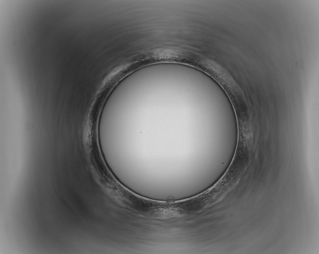 X0000116370583200912021155