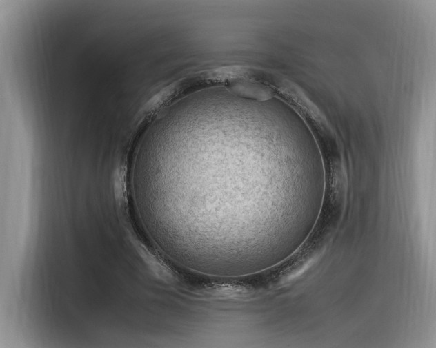 X0000116370585200912021155