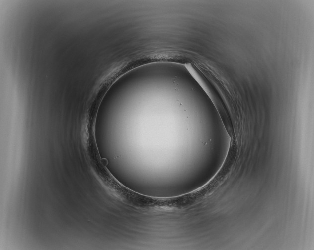 X0000116370586200912021155