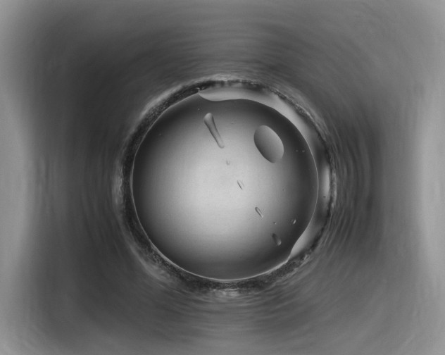 X0000116370588200912021155