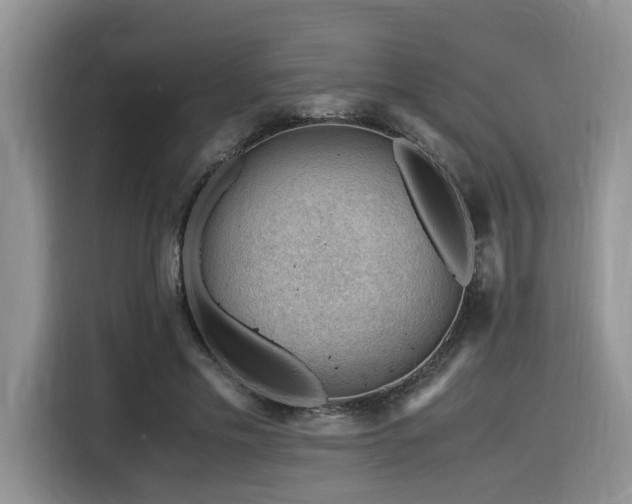 X0000116370589200912021155