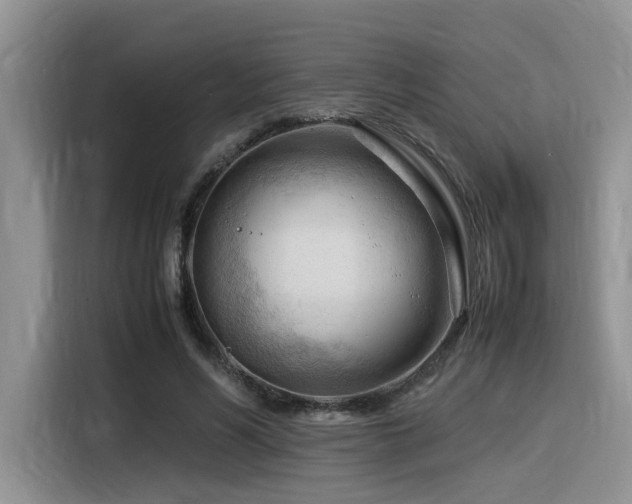 X0000116370590200912021155