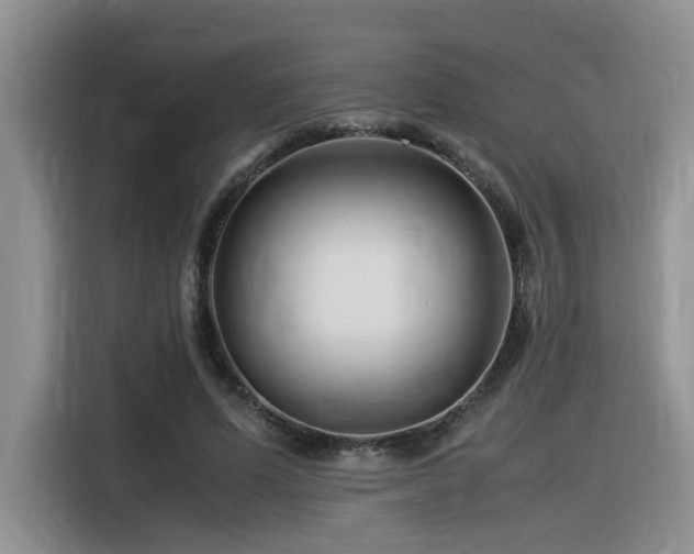 X0000116370591200912021155