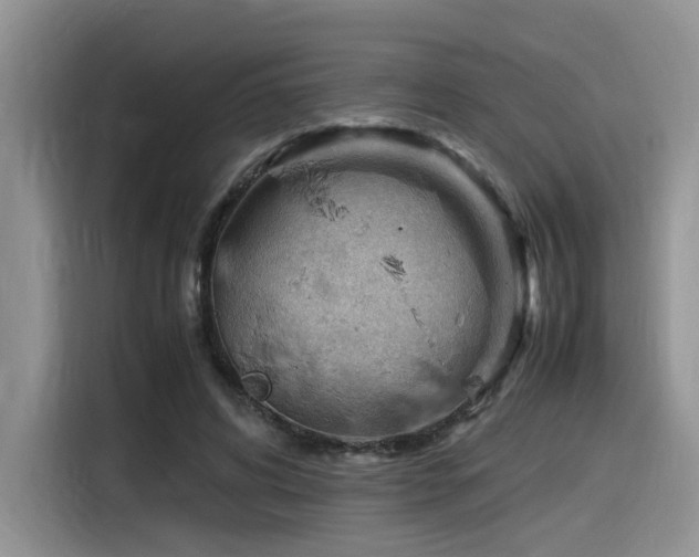 X0000116370592200912021155