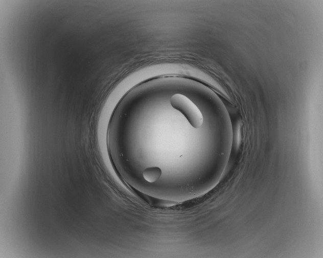 X0000116370593200912021155