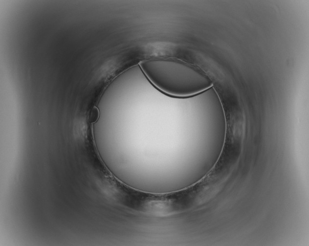 X0000116370595200912021155