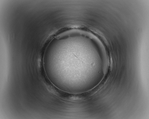 X0000116370596200912021155
