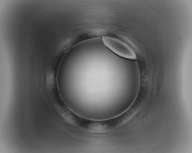 X0000116370597200912021155