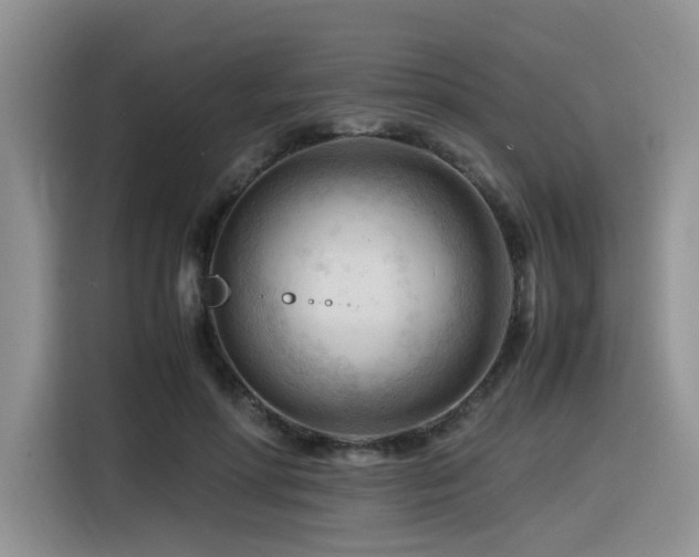 X0000116370598200912021155