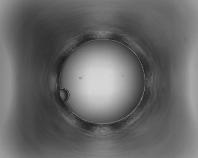 X0000116370599200912021155