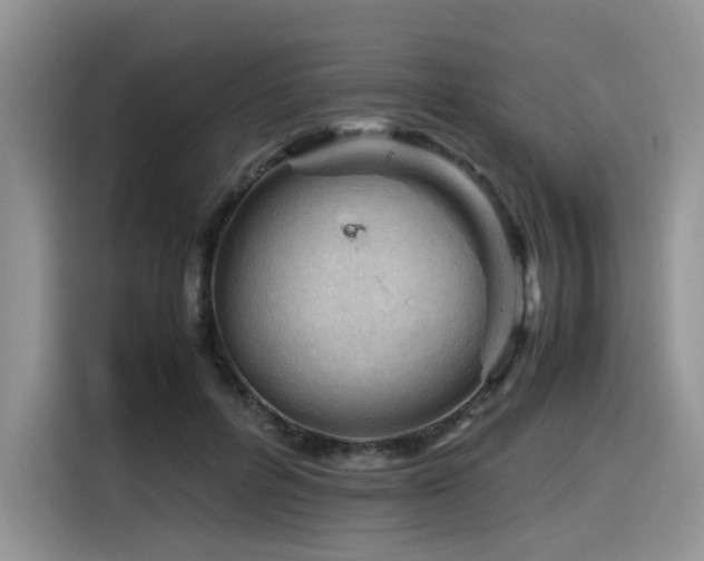 X0000116370600200912021155