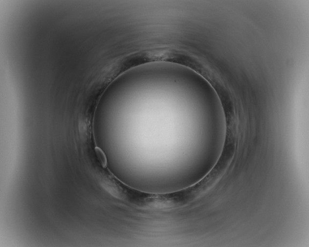 X0000116370601200912021155