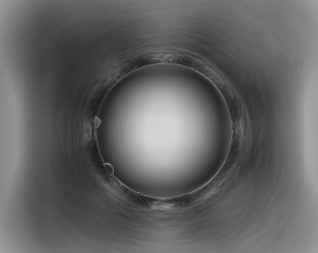 X0000116370602200912021155
