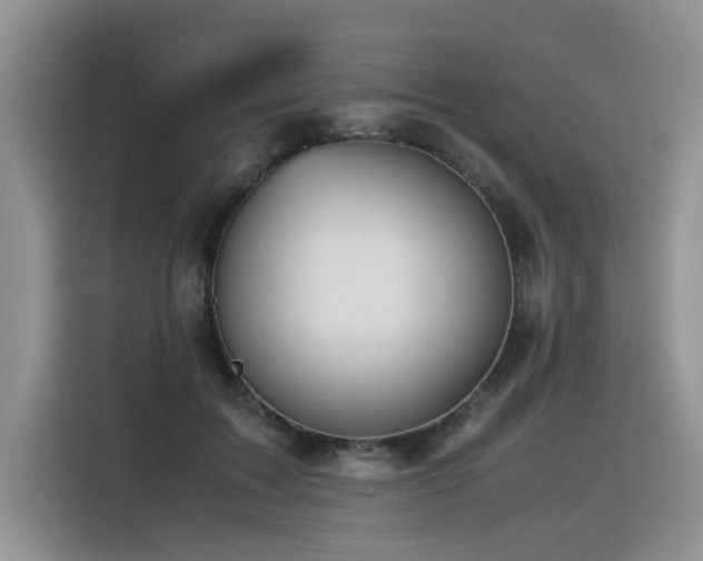 X0000116370603200912021155
