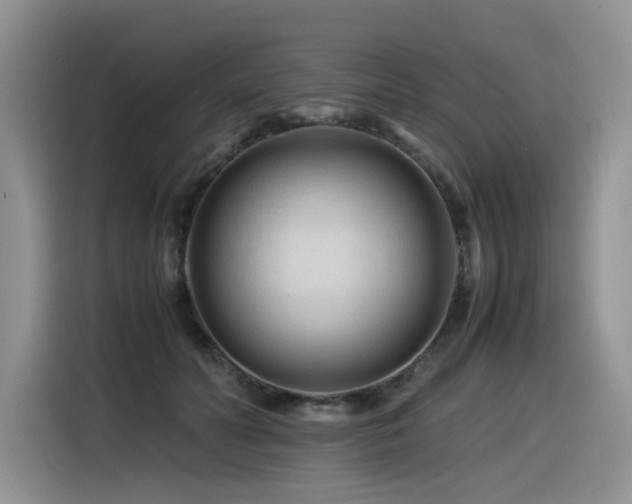 X0000116370606200912021155