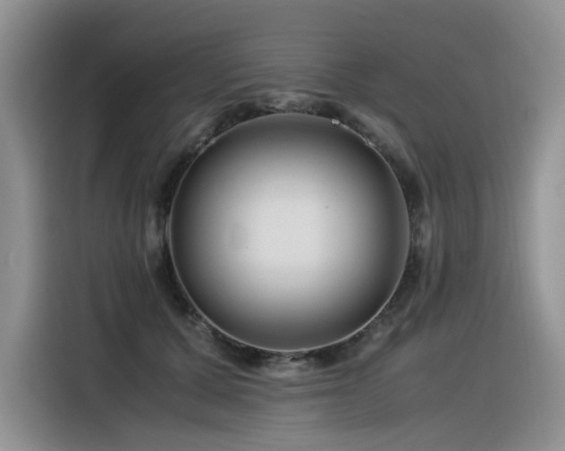 X0000116370607200912021155