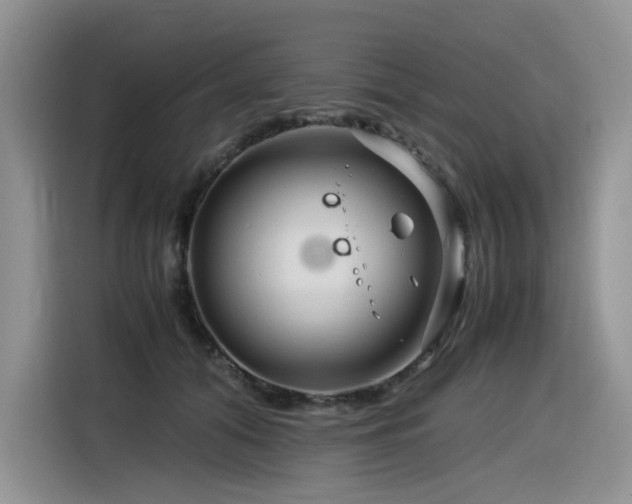 X0000116370608200912021155