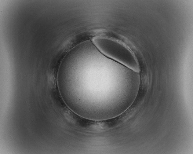 X0000116370609200912021155