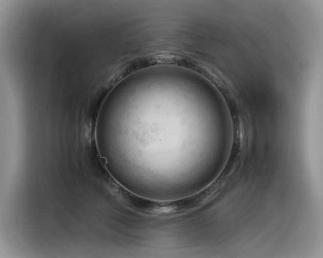 X0000116370610200912021155