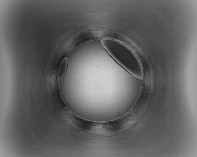 X0000116370611200912021155