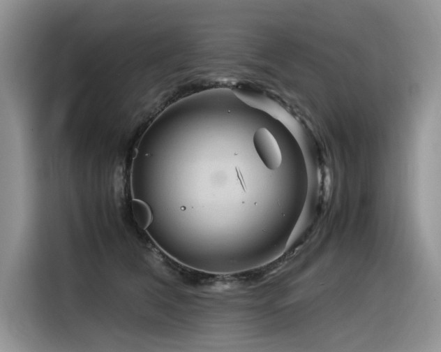 X0000116370612200912021155