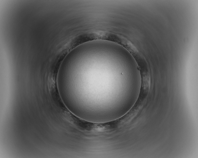 X0000116370613200912021155