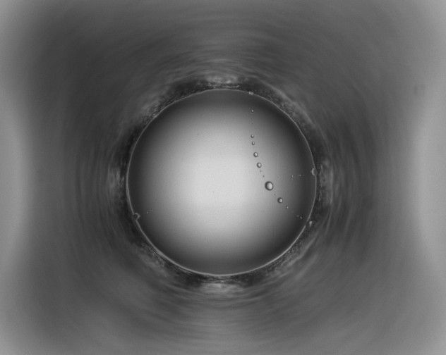 X0000116370614200912021155