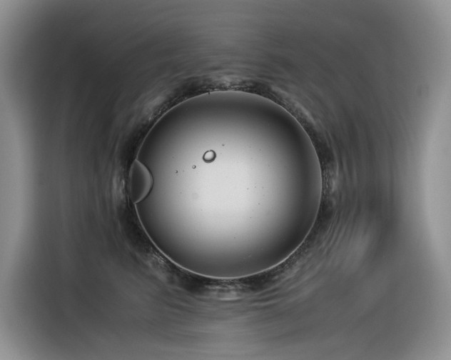 X0000116370615200912021155