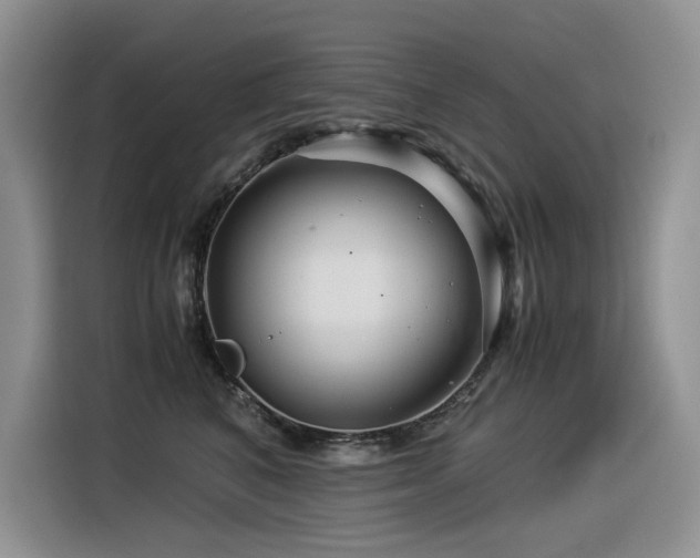 X0000116370616200912021155