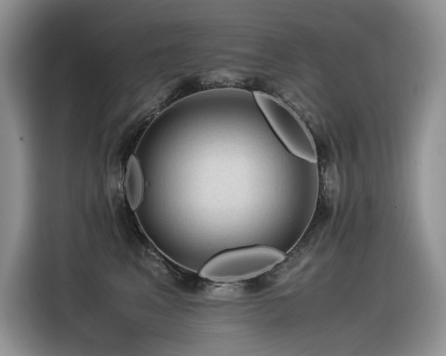 X0000116370617200912021155