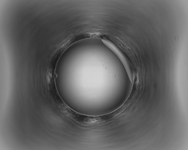 X0000116370618200912021155