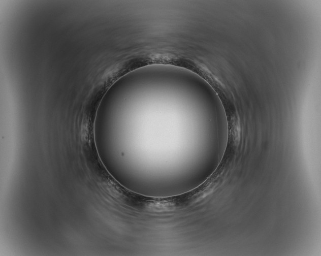 X0000116370619200912021155