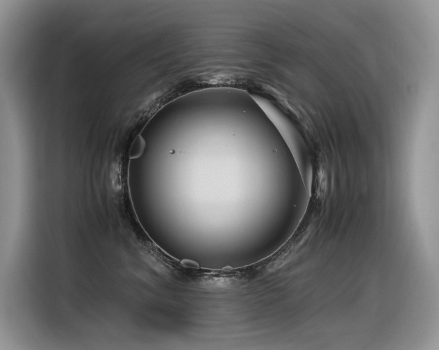X0000116370620200912021155
