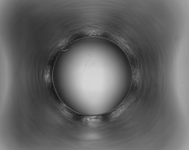 X0000116370622200912021155