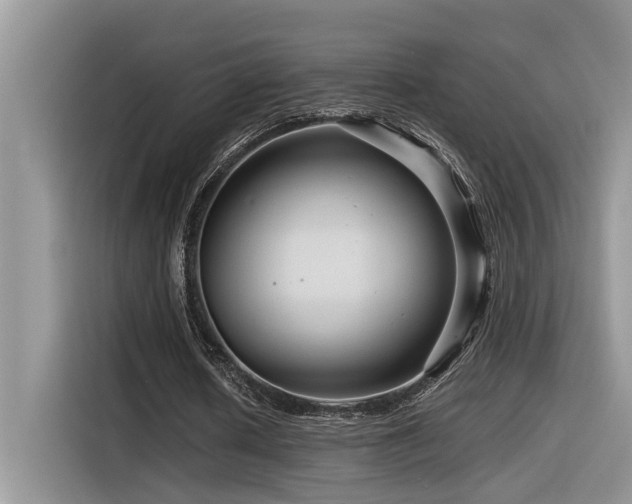 X0000116370626200912021154