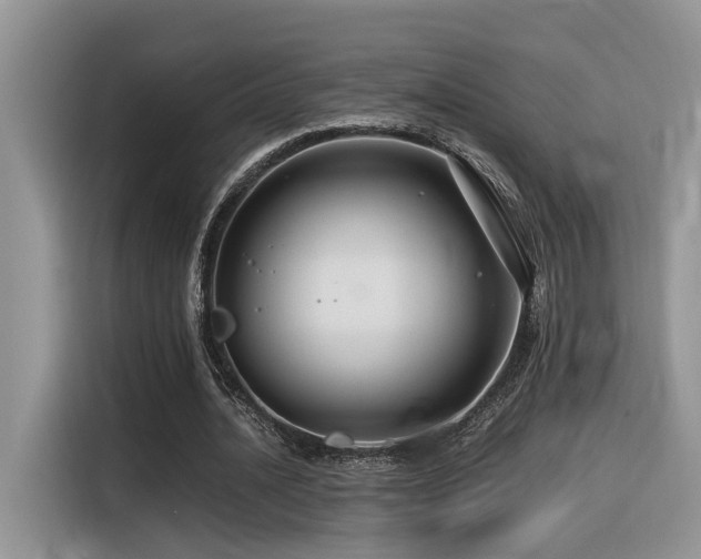 X0000116370628200912021154