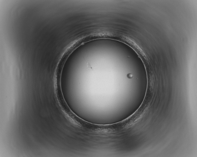 X0000116370629200912021154